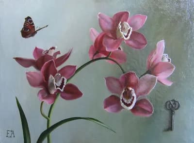 Орхидея 40 х 50 х.м.
