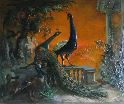 Павлины
