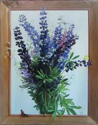 Люпины.