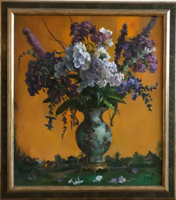 Флоксы 