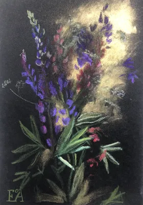 Люпины